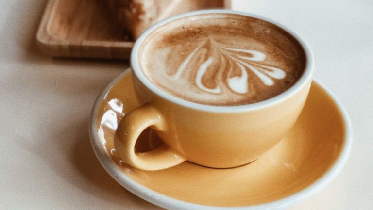 melkopschuimer rvs en teflon en bpa vrij